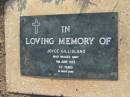 
Joyce GILLIGLAND
9 Jun 1935 aged 2 12 years
Toogoolawah Cemetery, Esk shire
