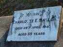 
Charlotte MALLON
29 Apr 1940 aged 59
Toogoolawah Cemetery, Esk shire
