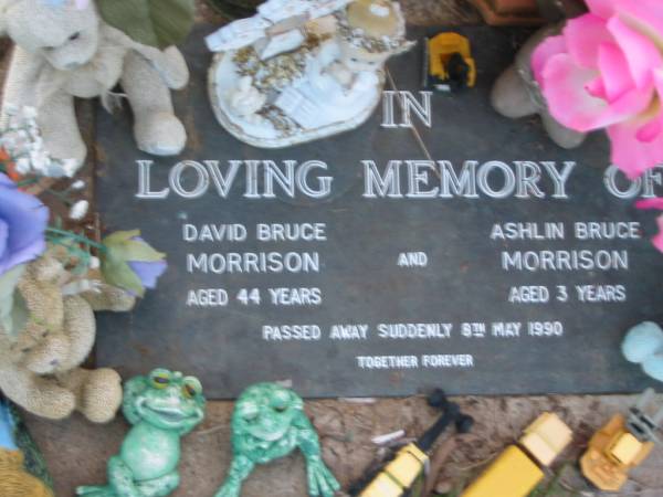 David Bruce MORRISON  | 8 May 1990 aged 44  | Ashlin Bruce MORRISON  | 8 May 1990 aged 3  | Toogoolawah Cemetery, Esk shire  | 