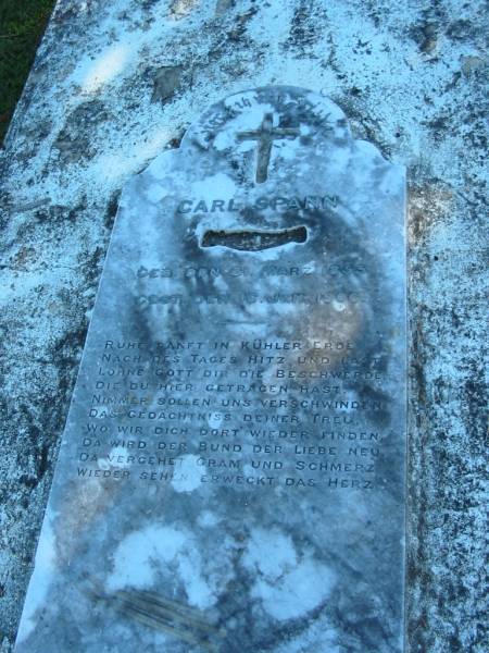 Carl SPANN  | B: 31 Mar 1855  | D: 16 Jan 1906  |   | William SPANN  | 18 Mar 1944  | aged 59  |   | Tygum Pioneer Cemetery, Logan City  | 