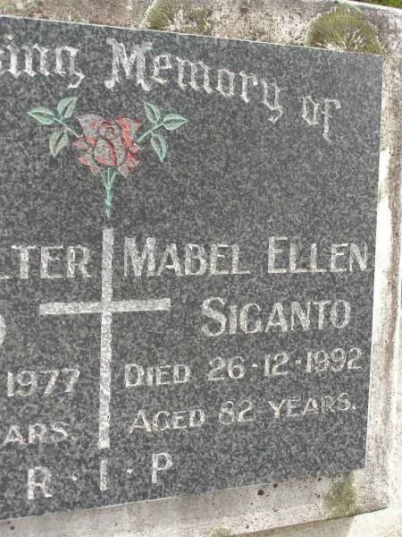 John Walter SIGANTO,  | died 22-3-1977 aged 71 years;  | Mabel Ellen SIGANTO,  | died 26-12-1992 aged 82 years;  | Upper Coomera cemetery, City of Gold Coast  | 