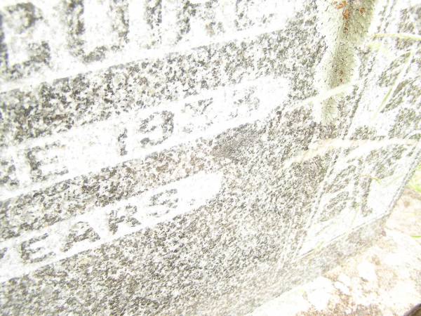 James MAGUIRE,  | brother,  | died 24 June 1933? aged 52 years;  | Warra cemetery, Wambo Shire  | 