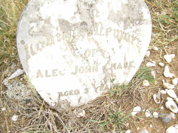 Alec John CHASE,  | aged 3 years;  | Warra cemetery, Wambo Shire  | 