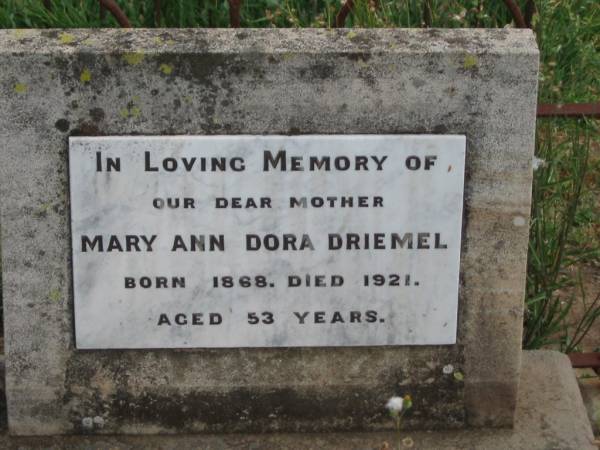 Mary Ann Dora DRIEMEL,  | mother,  | born 1868,  | died 1921 aged 53 years;  | Warra cemetery, Wambo Shire  | 
