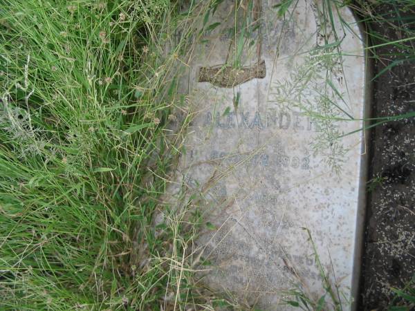 Jane ALEXANDER,  | died 1 Oct 1902 aged 64 years;  | Warra cemetery, Wambo Shire  | 