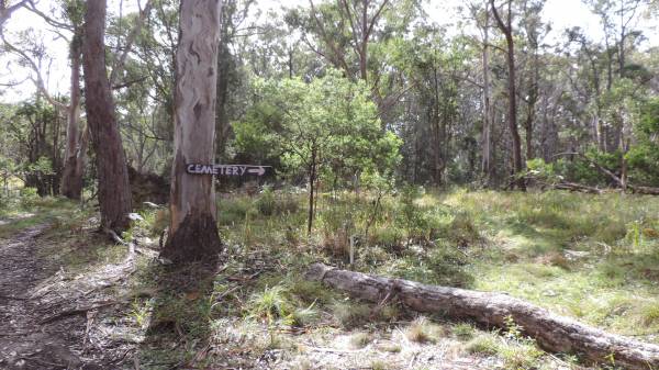 Willsons Downfall cemetery,Tenterfield, NSW  | 