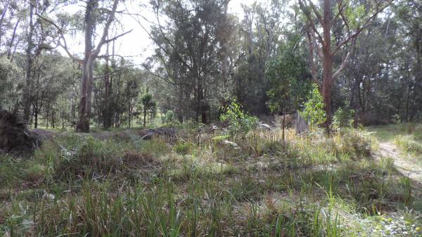 Willsons Downfall cemetery,Tenterfield, NSW  | 