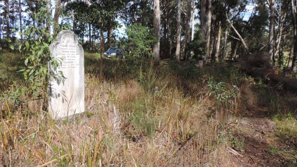 Jane COOK  | wife of Thomas COOK  | d: 18 Jan 1907 aged 68  |   | and their son  | Charlie COOK  | d: 1 May 1896 aged 19  |   | Willsons Downfall cemetery,Tenterfield, NSW  |   | 