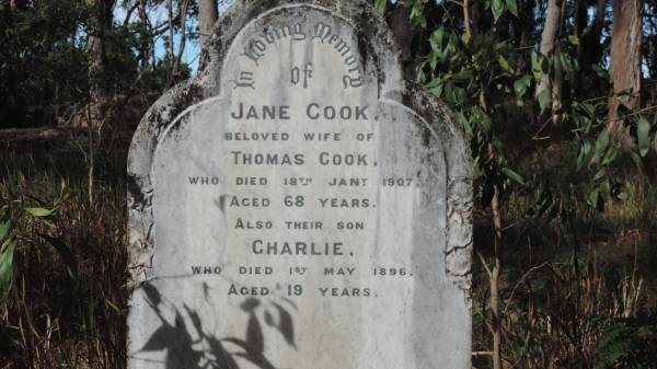 Jane COOK  | wife of Thomas COOK  | d: 18 Jan 1907 aged 68  |   | and their son  | Charlie COOK  | d: 1 May 1896 aged 19  |   | Willsons Downfall cemetery,Tenterfield, NSW  |   | 