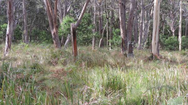   | Willsons Downfall cemetery,Tenterfield, NSW  |   | 