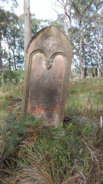 William PALMER  | d: 1 Sep 1882 aged 43  |   | grandson  | Roy HOSKING  | d: 7 Aug 1900 aged 12 mo  |   | Willsons Downfall cemetery,Tenterfield, NSW  |   | 