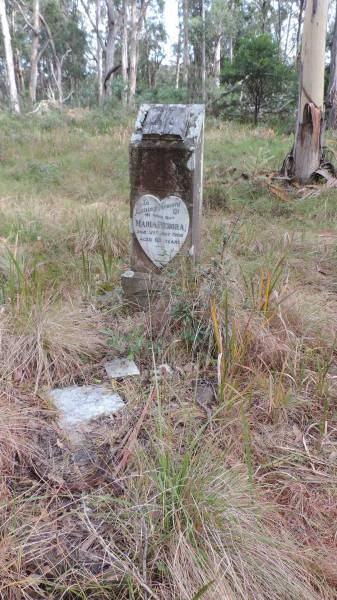 Maria REBORA  | d: 31 Aug 1908 aged 60  |   | Willsons Downfall cemetery,Tenterfield, NSW  |   | 