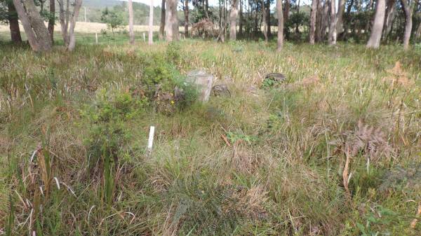   | Willsons Downfall cemetery,Tenterfield, NSW  |   | 