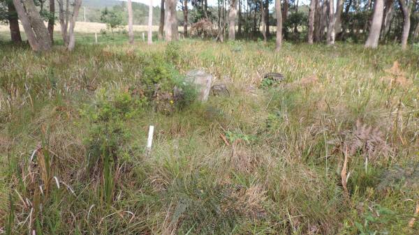   | Willsons Downfall cemetery,Tenterfield, NSW  |   | 