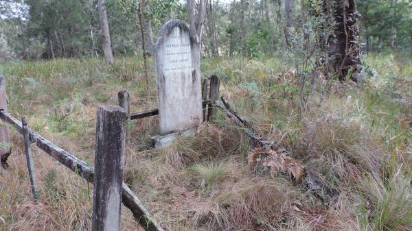 Alfred CRISP  | husband of Jane CRIPS  | d: 11 May 1902  |   | Willsons Downfall cemetery,Tenterfield, NSW  |   | 