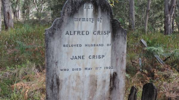 Alfred CRISP  | husband of Jane CRIPS  | d: 11 May 1902  |   | Willsons Downfall cemetery,Tenterfield, NSW  |   | 