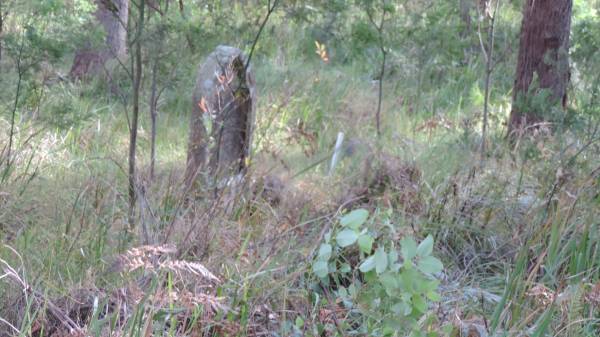   | Willsons Downfall cemetery,Tenterfield, NSW  |   | 