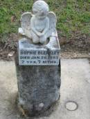 
Sophie BLEAKLEY,
died 26 Jan 1893,
2 years 7 months;
Woodford Cemetery, Caboolture
