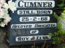 
CUMNER, daughter of Roy & Elva,
stillborn 25-2-68;
Woodford Cemetery, Caboolture
