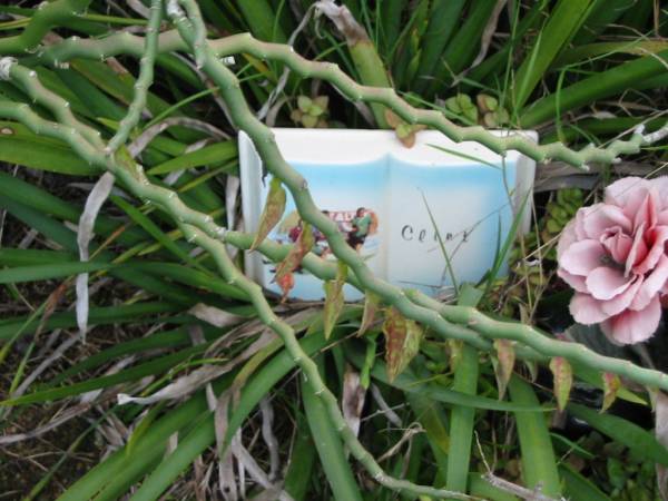 Clint;  | Woodford Cemetery, Caboolture  | 