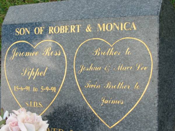 Jeromee Ross SIPPEL,  | son of Robert & Monica,  | brother of Joshua & Maci-Lee,  | twin brother of James,  | 15-6-91 - 5-9-91,  | S.I.D.S.;  | Woodford Cemetery, Caboolture  | 
