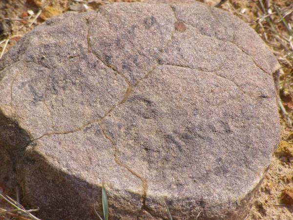 T??t?ary  |         ?????  | 13.10  | ???  | Woodhill cemetery (Veresdale), Beaudesert shire  |   | 