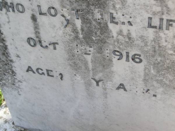 Ethel Gladys White  | 1 Oct 1916, aged 3  | Woodhill cemetery (Veresdale), Beaudesert shire  |   | 