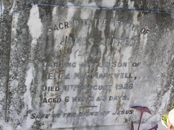 James Alfred (Markwell)  | son of E C and M I Markwekk  | 11 Aug 1926, aged 6 weeks, 3 days  | Woodhill cemetery (Veresdale), Beaudesert shire  |   | 