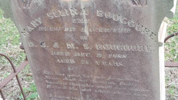 Mary Selina BOUGOURE  | d: 9 Dec 1888 aged 21  | daughter of D.G. and M.S. BOUGOURE  |   | Yandilla All Saints Anglican Church with Cemetery  |   | 