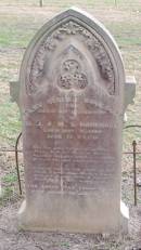 
Mary Selina BOUGOURE
d: 9 Dec 1888 aged 21
daughter of D.G. and M.S. BOUGOURE

Yandilla All Saints Anglican Church with Cemetery

