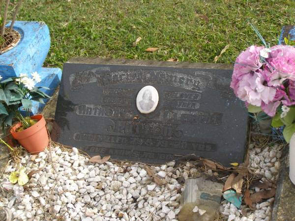 Anthony Clement HUTTON  | d: 29 Aug 1979 aged 20  |   | Yandina Cemetery  |   |   | 
