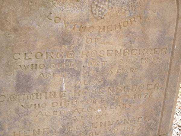 George ROSENBERGER,  | died 29 Oct 1894 aged 69 years;  | Caroline? ROSENBERGER,  | died 12 Oct 1896 aged ?? years;  | Henry ROSENBERGER,  | died 20 June 1879 aged 11 years;  | restored by Wildred ROSENBERGER April 1993;  | Gottlieb Frederick ROSENBERGER,  | died 11 Dec 1931 aged 74 years,  | remembered by the MEWES family;  | Yangan Presbyterian Cemetery, Warwick Shire  | 