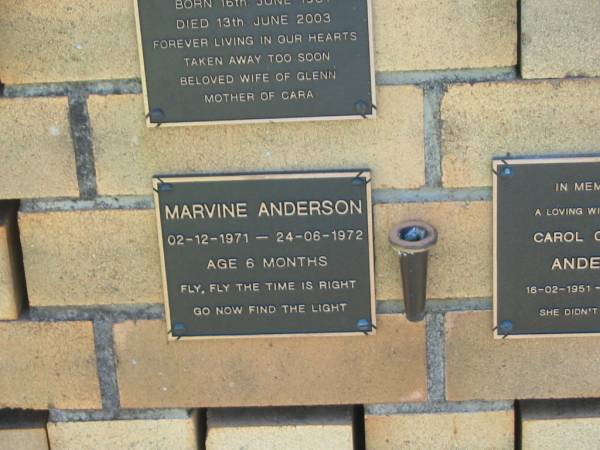 Marvine ANDERSON,  | 02-12-1971 - 24-06-1972 aged 6 months;  | Yarraman cemetery, Toowoomba Regional Council  | 