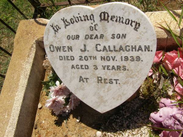 Owen J. CALLAGHAN,  | son,  | died 20 Nov 1939 aged 3 years;  | Yarraman cemetery, Toowoomba Regional Council  | 