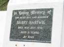 
Barry HARTWIG,
son brother,
died 19 July 1970 aged 21 years;
Yarraman cemetery, Toowoomba Regional Council
