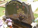
Roy Herbert COLLINS,
8-2-1916 - 24-7-1996;
Yarraman cemetery, Toowoomba Regional Council

