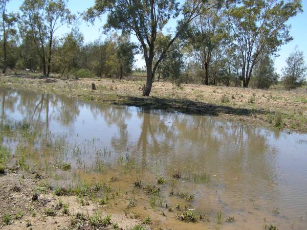 Ground water after recent rain,  | between Goodwindi and St George, Queensland  |   | 