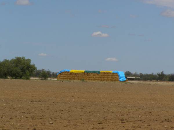 Hay in field,  | between Goondiwindi and St George, Queensland  | 