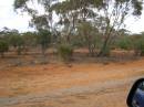 Between Nyngan and Cobar, New South Wales 