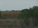 Between Cobar and Broken Hill, New South Wales 