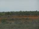 Between Cobar and Broken Hill, New South Wales 