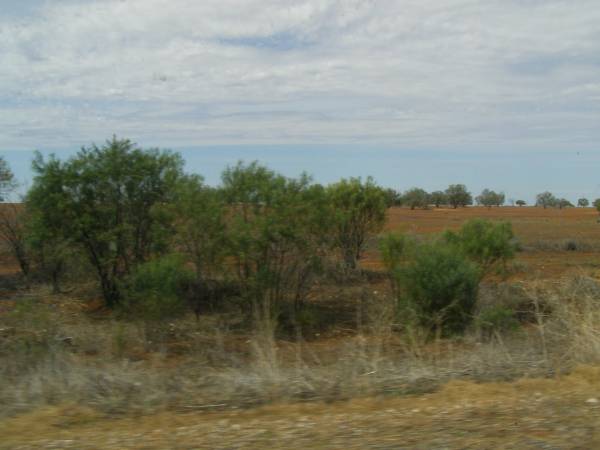Between Cobar and Broken Hill,  | New South Wales  | 