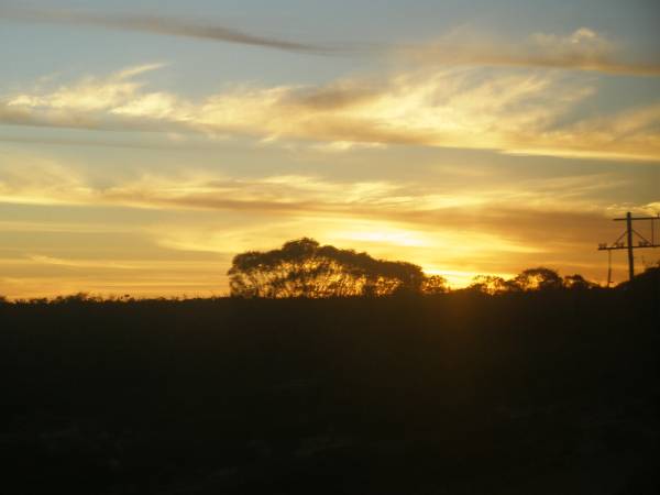 Sunset, Western Australia,  | taken from the Indian Pacific  | 