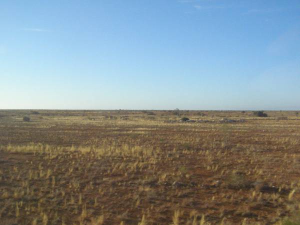 The Nullarbor Plain (Western Australia),  | taken from the Indian Pacific  | 