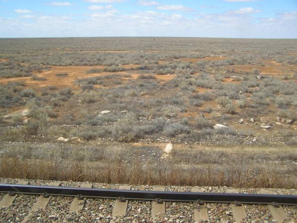 The Nullarbor Plain (Western Australia),  | taken from the Indian Pacific  | 