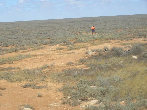 Man on the Nullarbor Plain (South Australia),  | taken from the Indian Pacific  | 