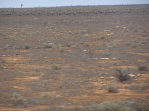 Nullarbor Plain (South Australia),  | taken from the Indian Pacific  | 