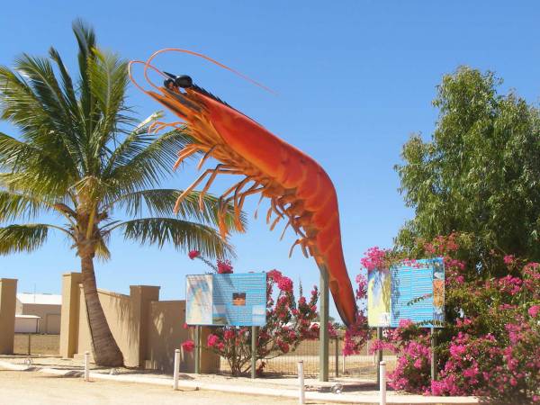 Kailis wild ocean caught prawns factory in <a href= 2009_09_16/ >Exmouth WA</a>  | 