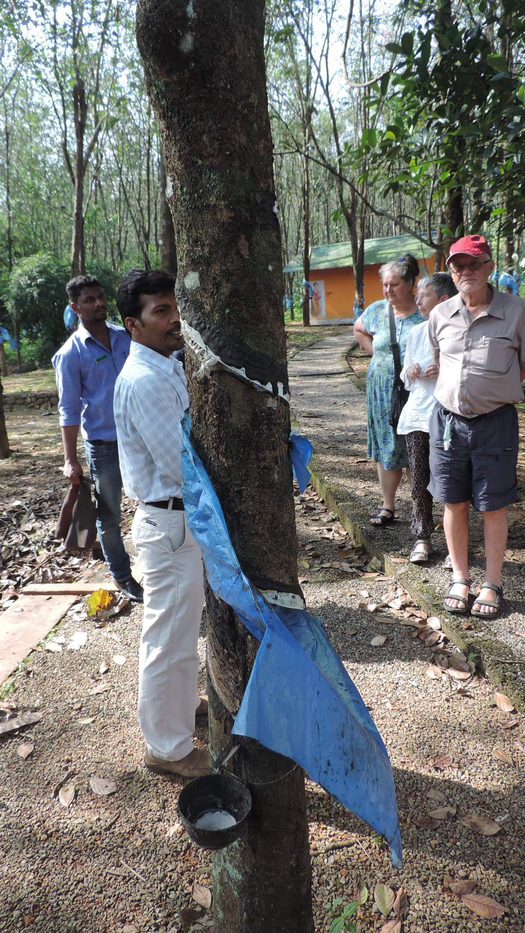 rubber collection with plastic to stop water contamination
