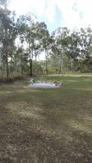 DSCN0233.JPG